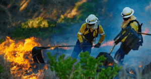 utility wildfire risk management