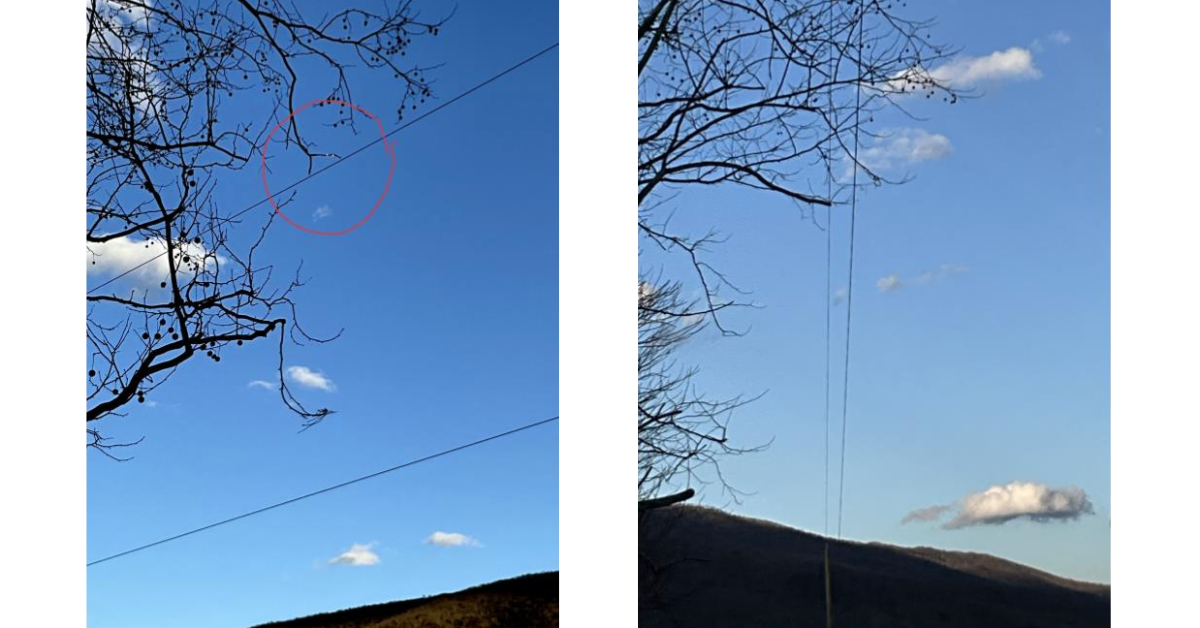 Wildfire Hazard Mitigation Near Energized Lines: Our Fast Response in Bland, VA