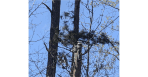 Tie Wire Failure Near-Miss: Conductor Secured Before Drop During Layout Operation