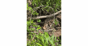 Hidden Utility Box Hazard Avoided During Roadside Fiber Pull Operation