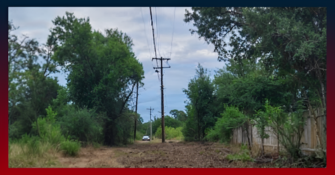 utility staking services